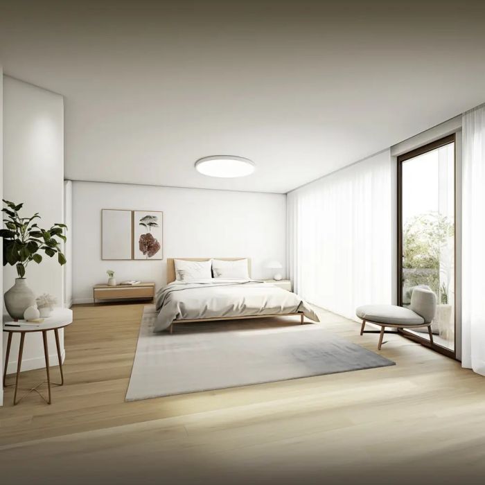 Xiaomi Mi Smart Ceiling Light D40 /BHR9933GL