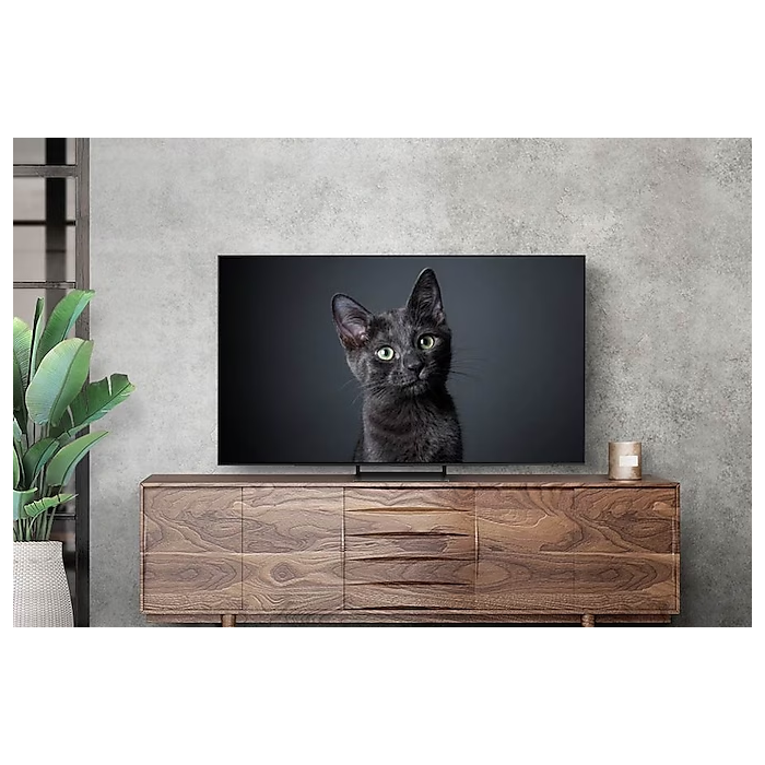 Samsung QE55S90CAUXRU