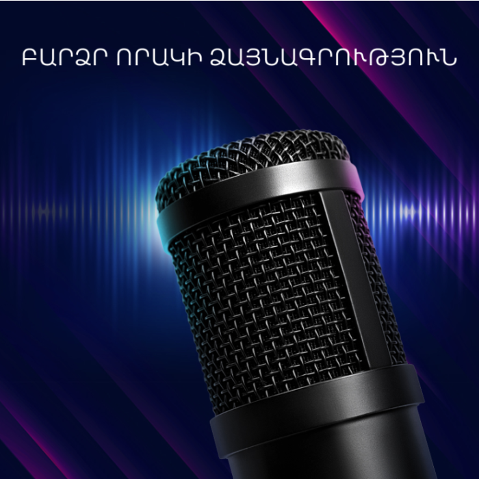 Lorgar Gaming Microphone Soner 313/LRG-CMT313