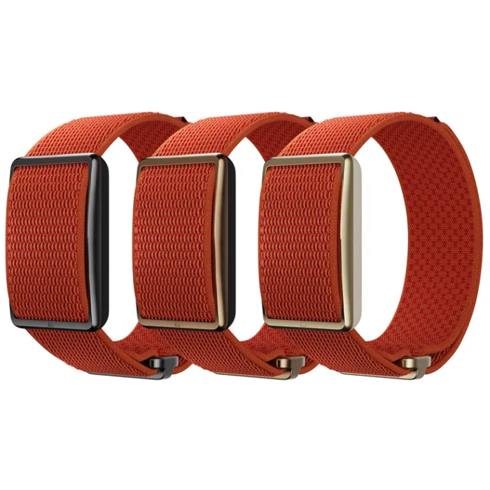 Polar Loop Wristband Orange