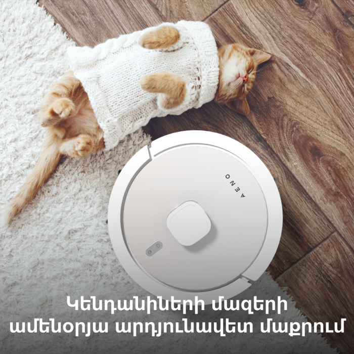 AENO ARC0004S Robot Vacuum Cleaner RC4S
