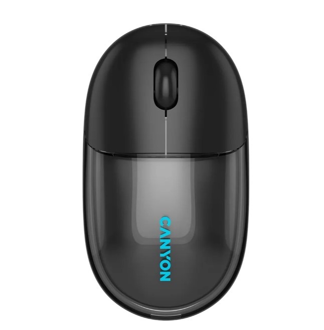 Canyon CNS-CMSW24B/Wireless Mouse, Transparent Black