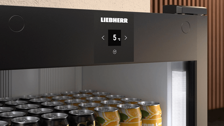 Digital Temperature Display